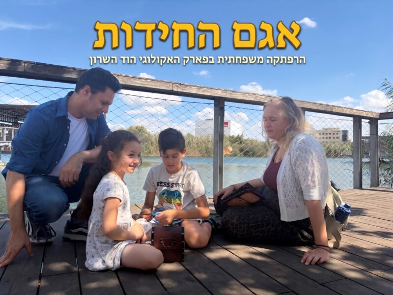 אגם החידות